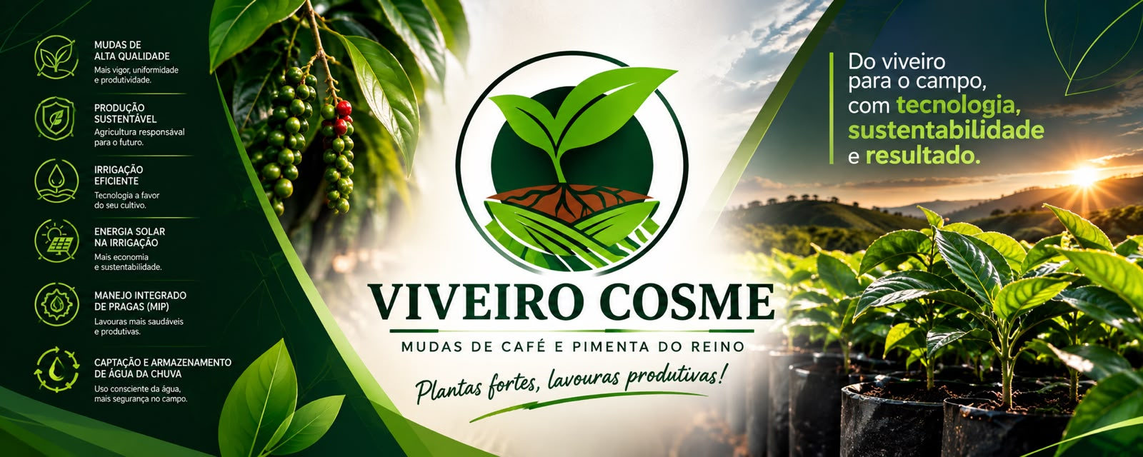 Logomarca Viveiro Cosme — mudas de café e pimenta do reino